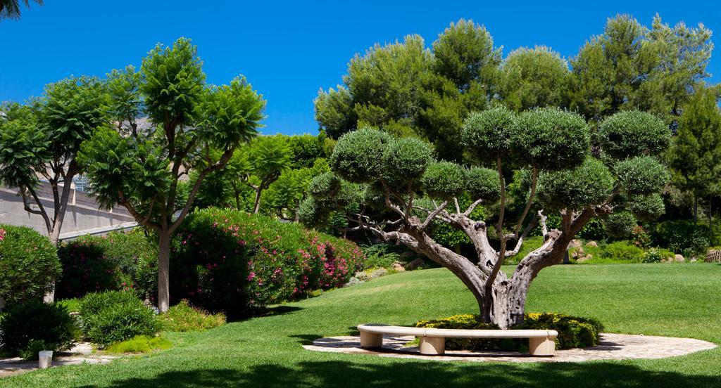 洛尔卡 Jardines De Amaltea酒店 外观 照片